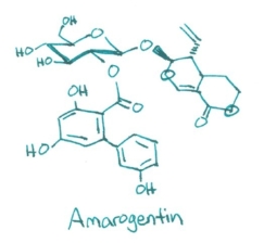 Amorogentin