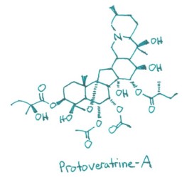 Protoveratrine-A