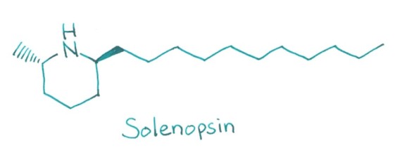 Solenopsin